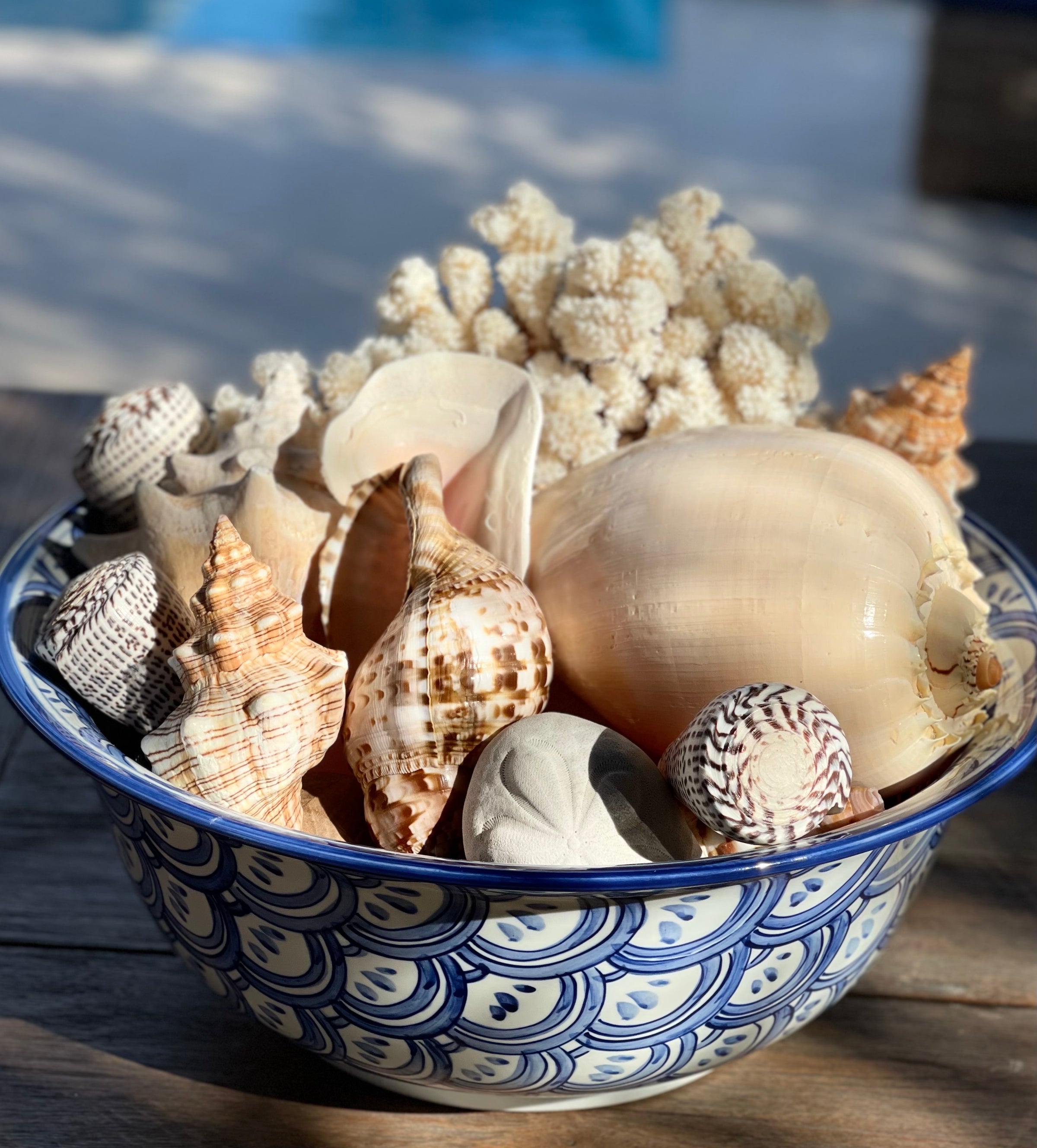 Shells