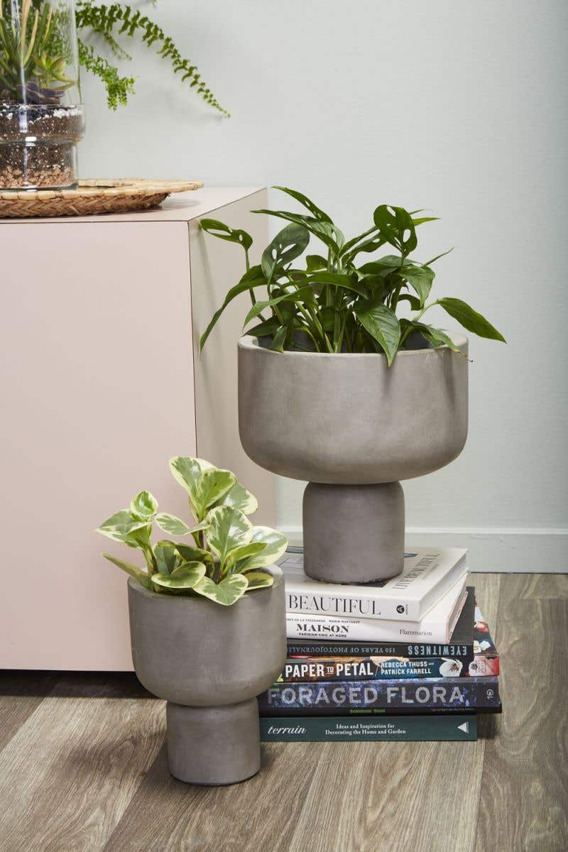 Concrete Modern Planter