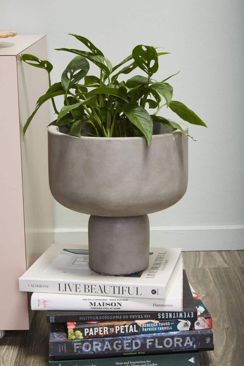 Concrete Modern Planter