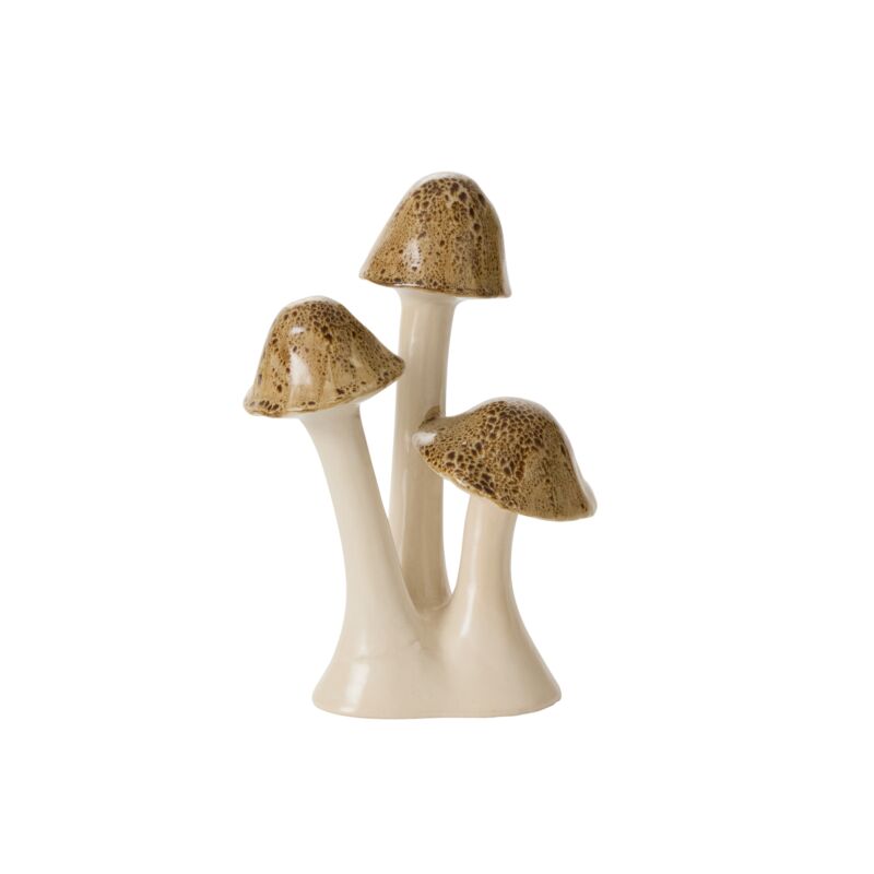 Speckled Mushroom