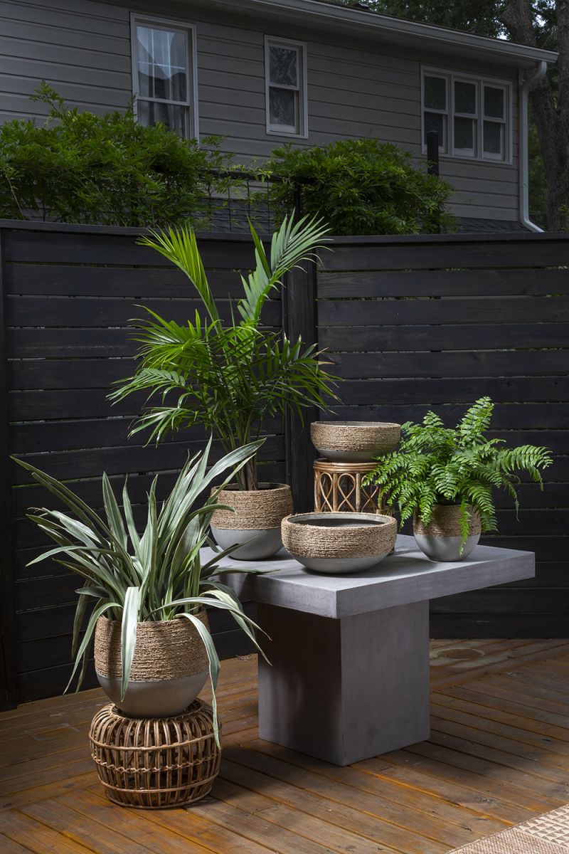 Reed Planters