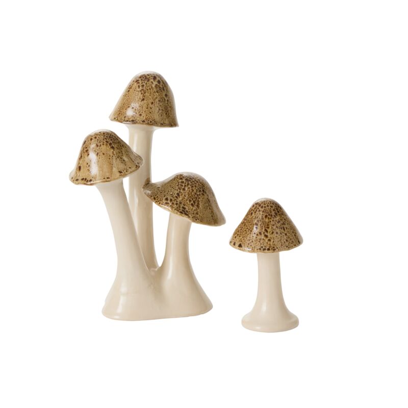Speckled Mushroom