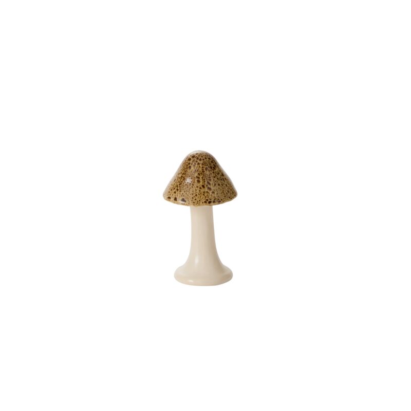 Speckled Mushroom