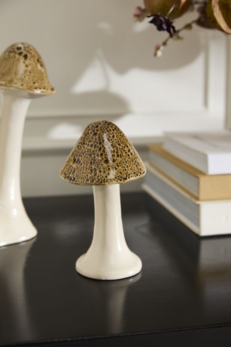 Speckled Mushroom