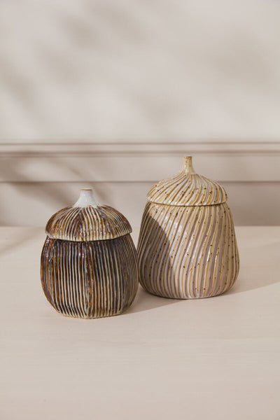 Birch Canister
