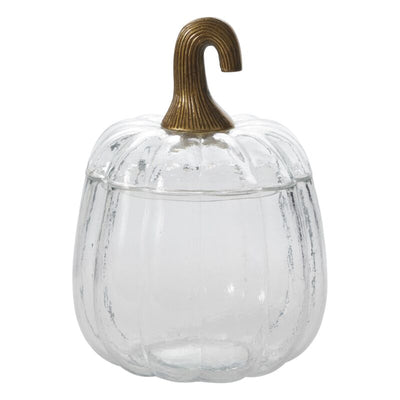 Glass Pumpkin Terrarium