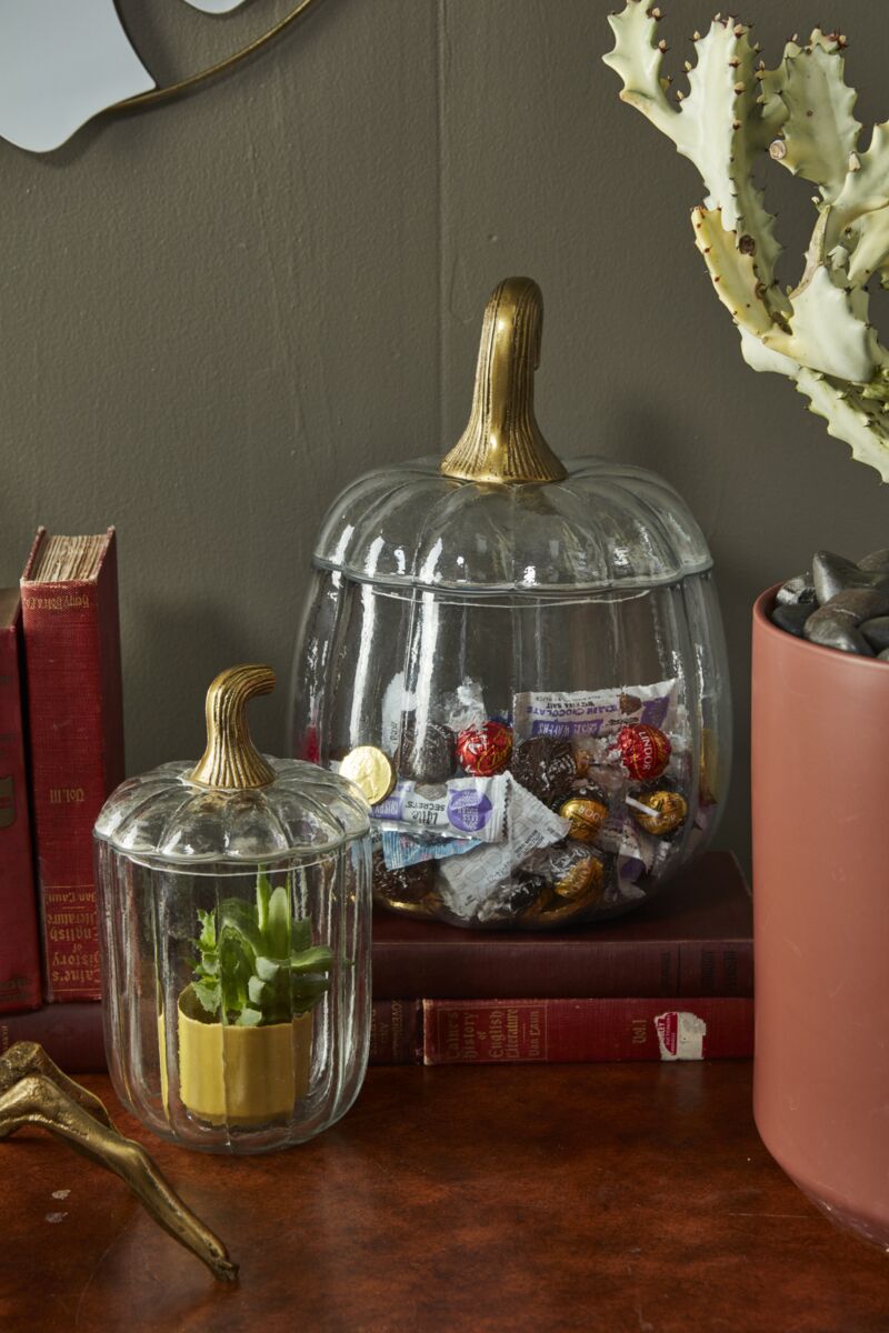 Glass Pumpkin Terrarium