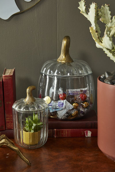 Glass Pumpkin Terrarium