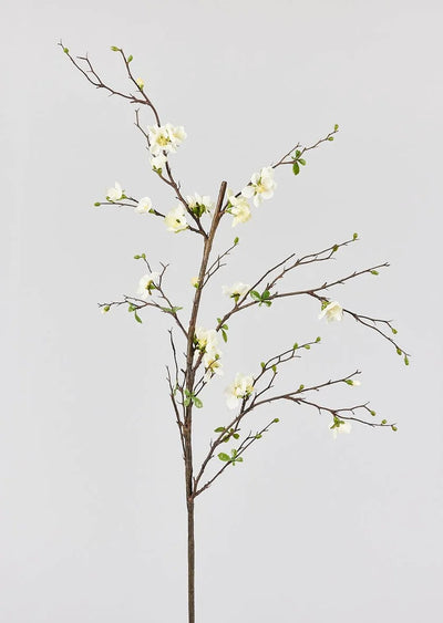 Blossom Branch - 57"