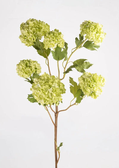 Green Snowball Flower Branch 43.5"