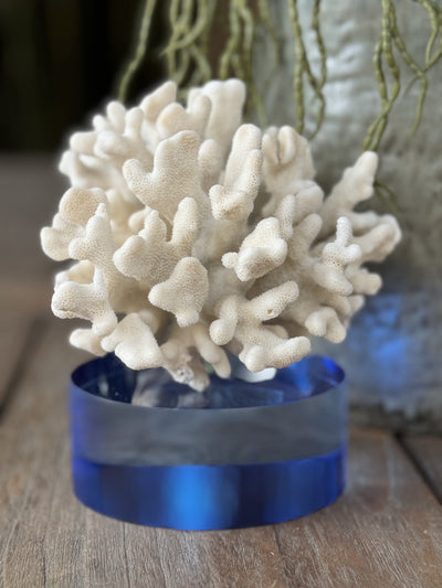 Acrylic Blue Lucite Round Riser