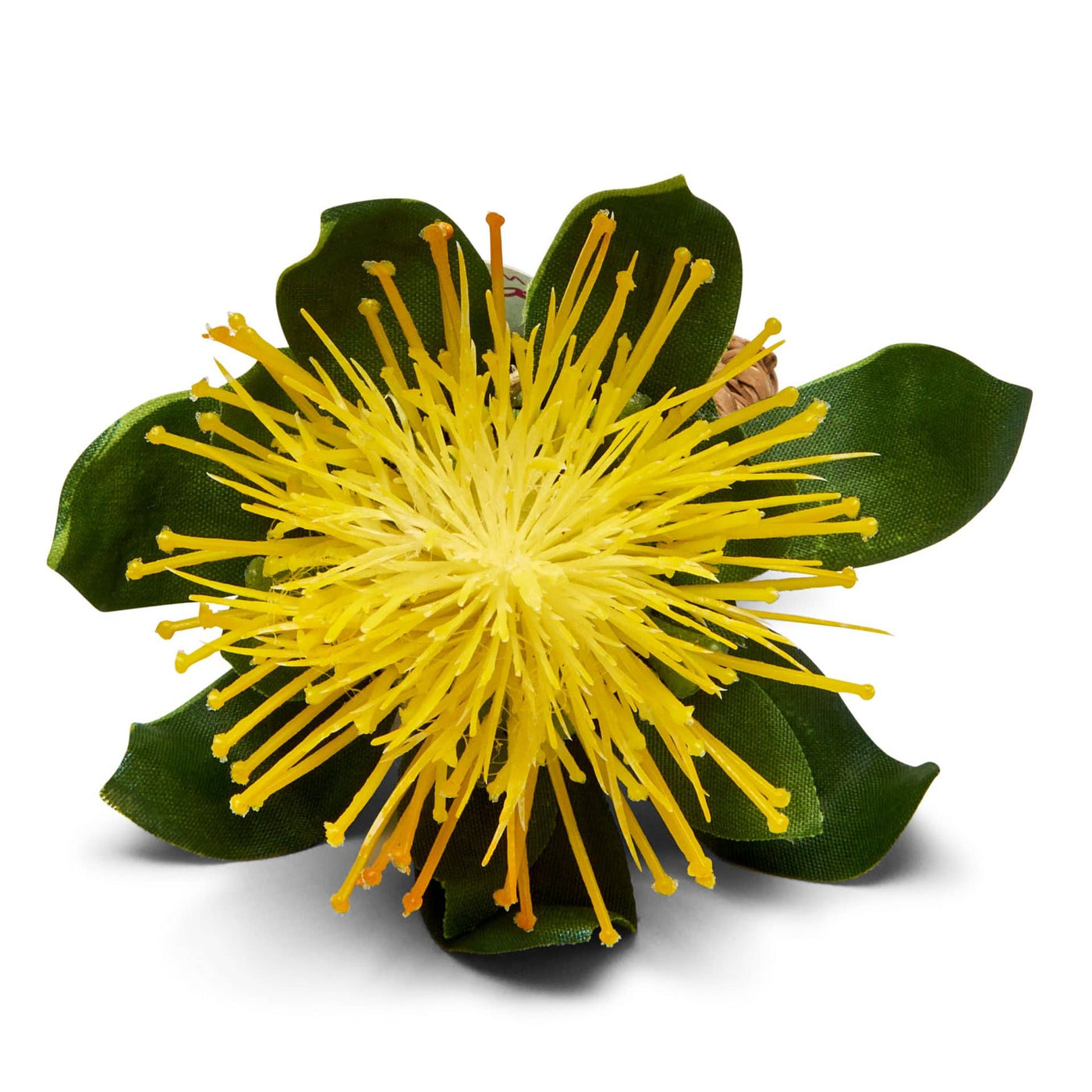 Pincushion Protea Napkin Ring - Set of 4