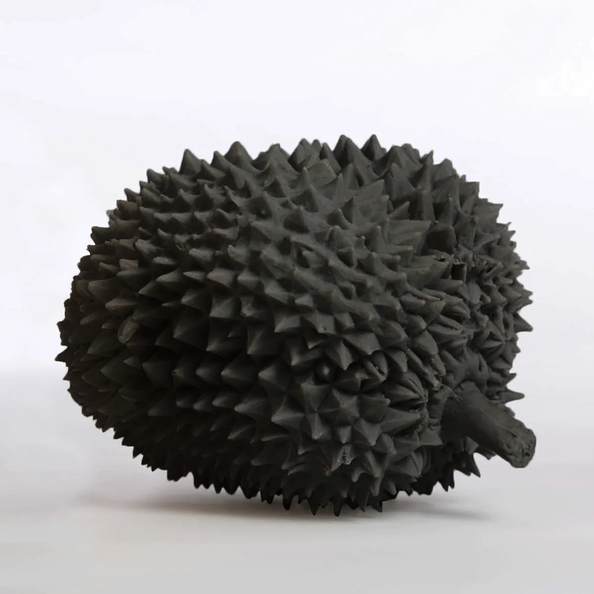Durian Fruit