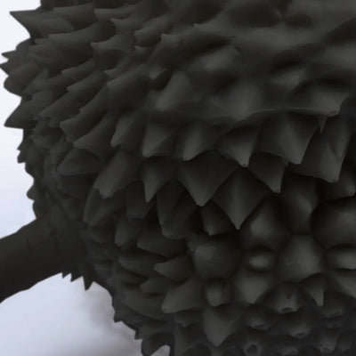Durian Fruit
