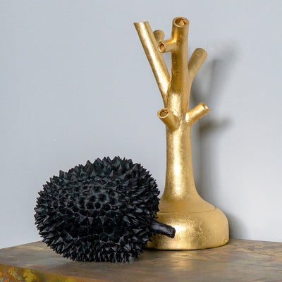 Durian Fruit