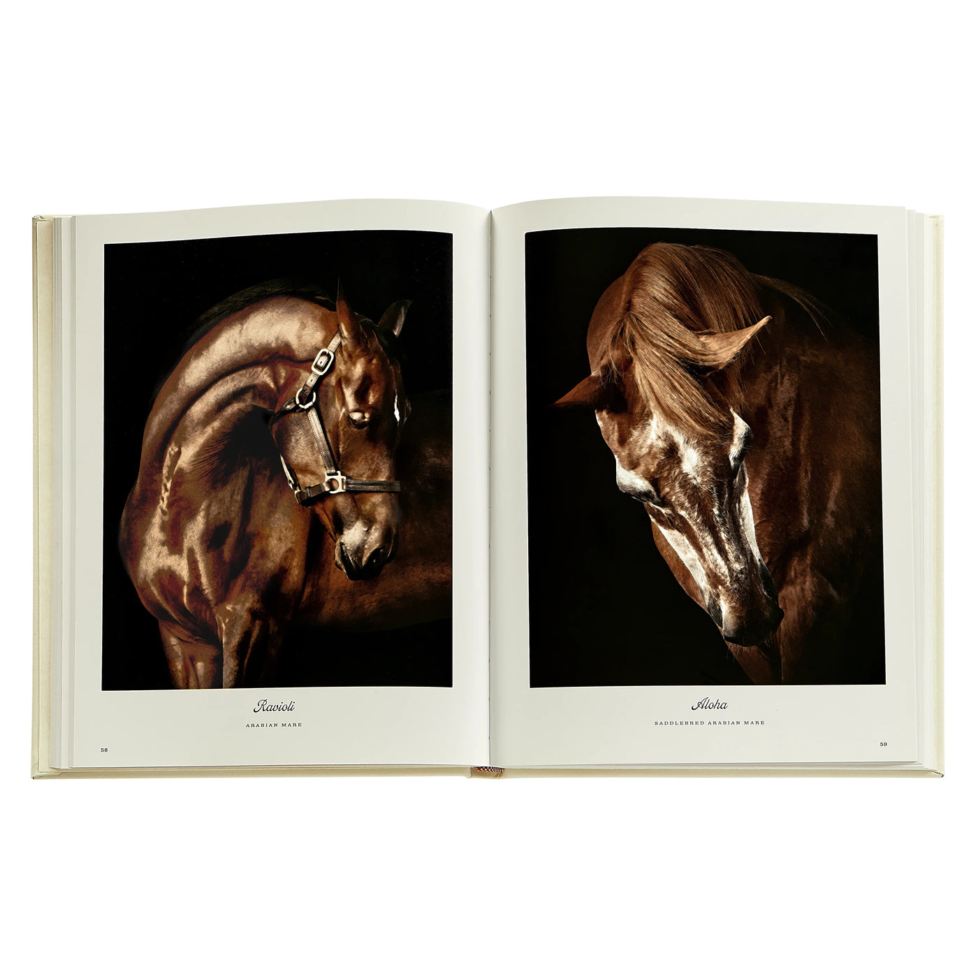 Farm Life: A Collection of Animal Portraits by Randal Ford - Leather Bound