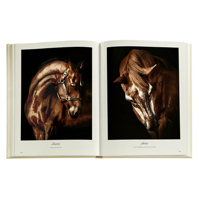 Farm Life: A Collection of Animal Portraits by Randal Ford - Leather Bound