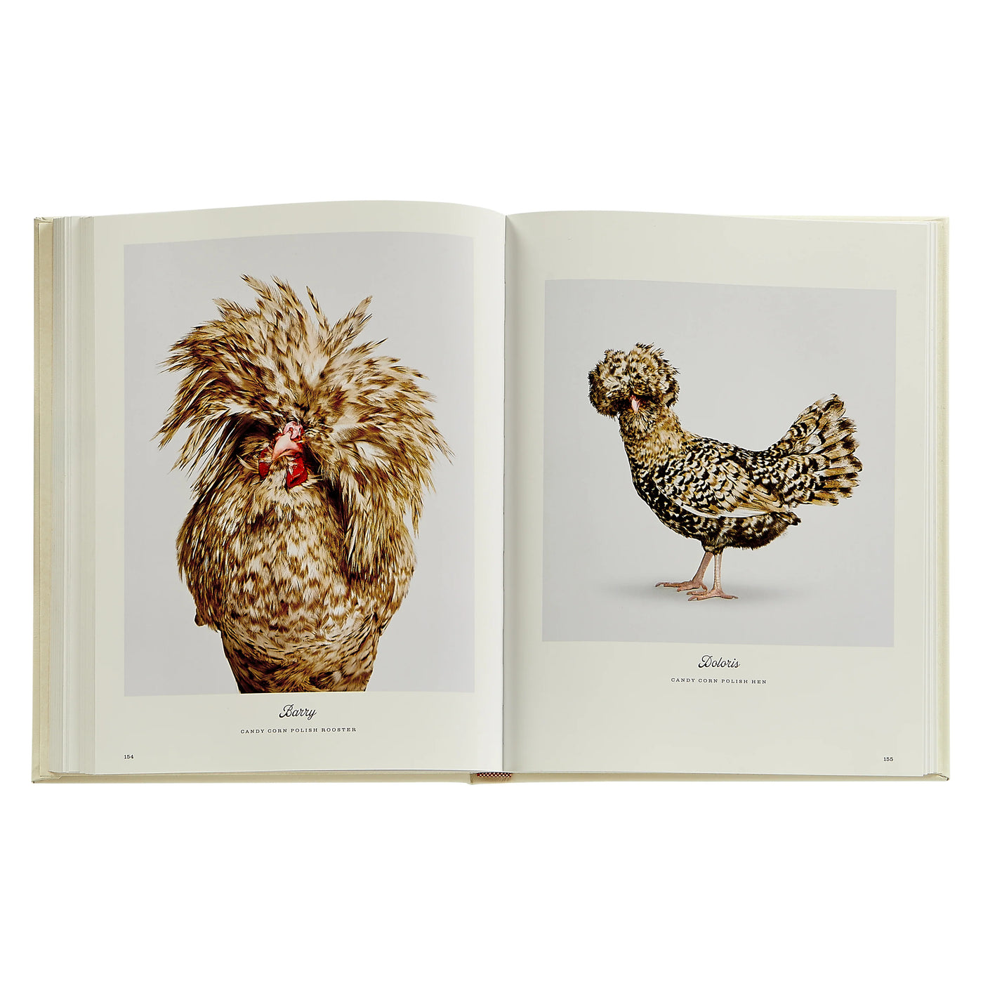 Farm Life: A Collection of Animal Portraits by Randal Ford - Leather Bound