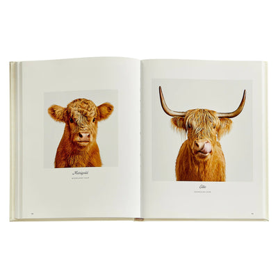 Farm Life: A Collection of Animal Portraits by Randal Ford - Leather Bound