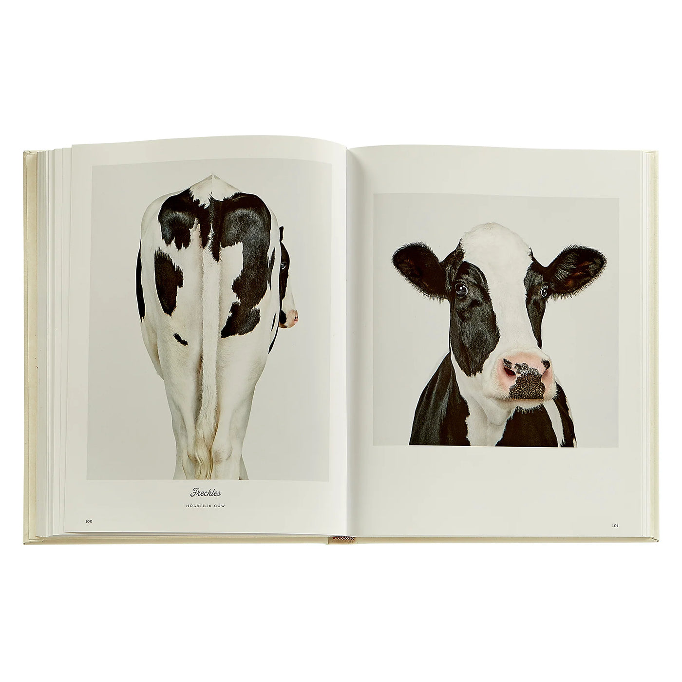 Farm Life: A Collection of Animal Portraits by Randal Ford - Leather Bound