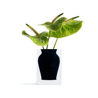 Ebony Bud Acrylic Block Black Vase - Black