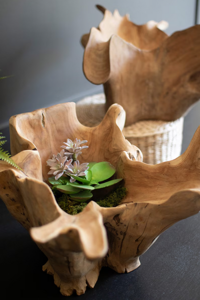 Teak Root Bowl - Large