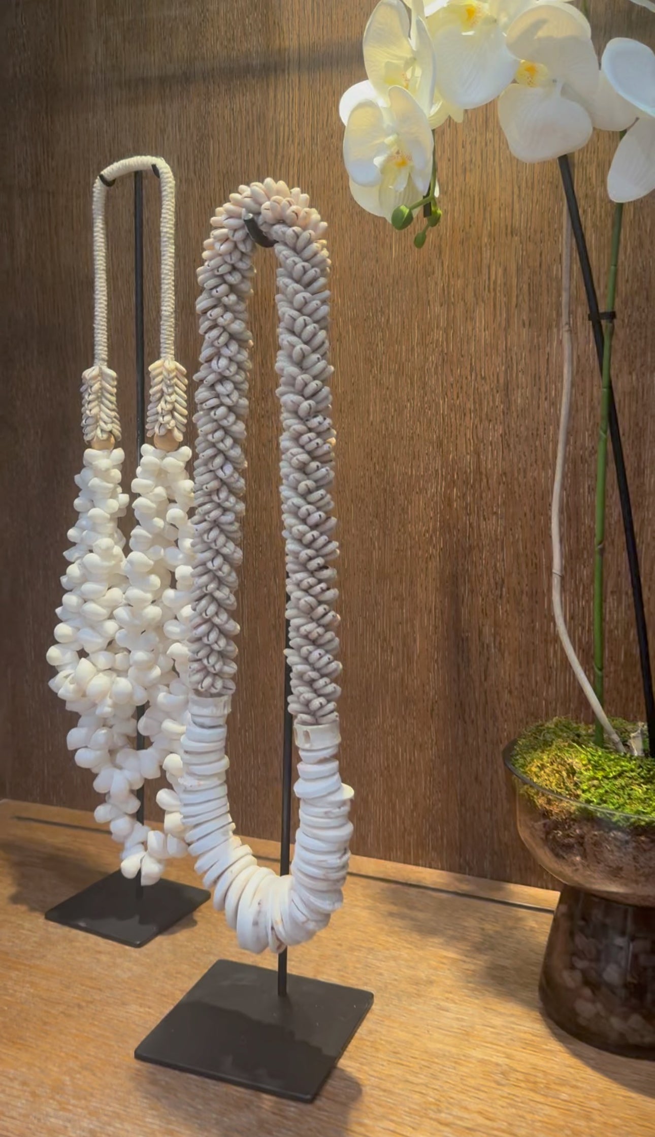 Cowrie Shell Necklace & Stand