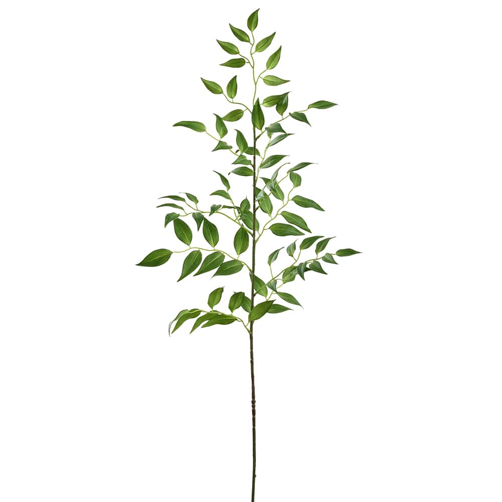 43" Ruscus Lifelike Leaf Stem - Set of 6