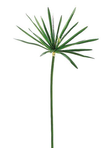 Faux Cypress Stem - 45"