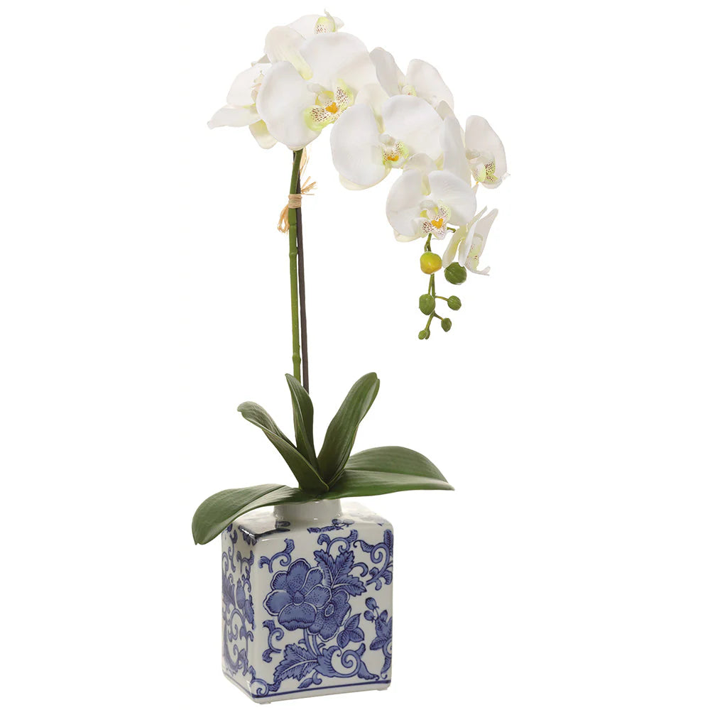 Phalaenopsis Orchid Silk Flower Arrangement w/Ceramic Vase