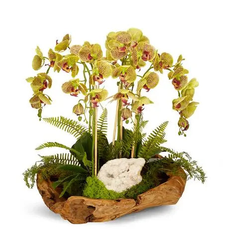 Orchids & Geode in Wood Bowl