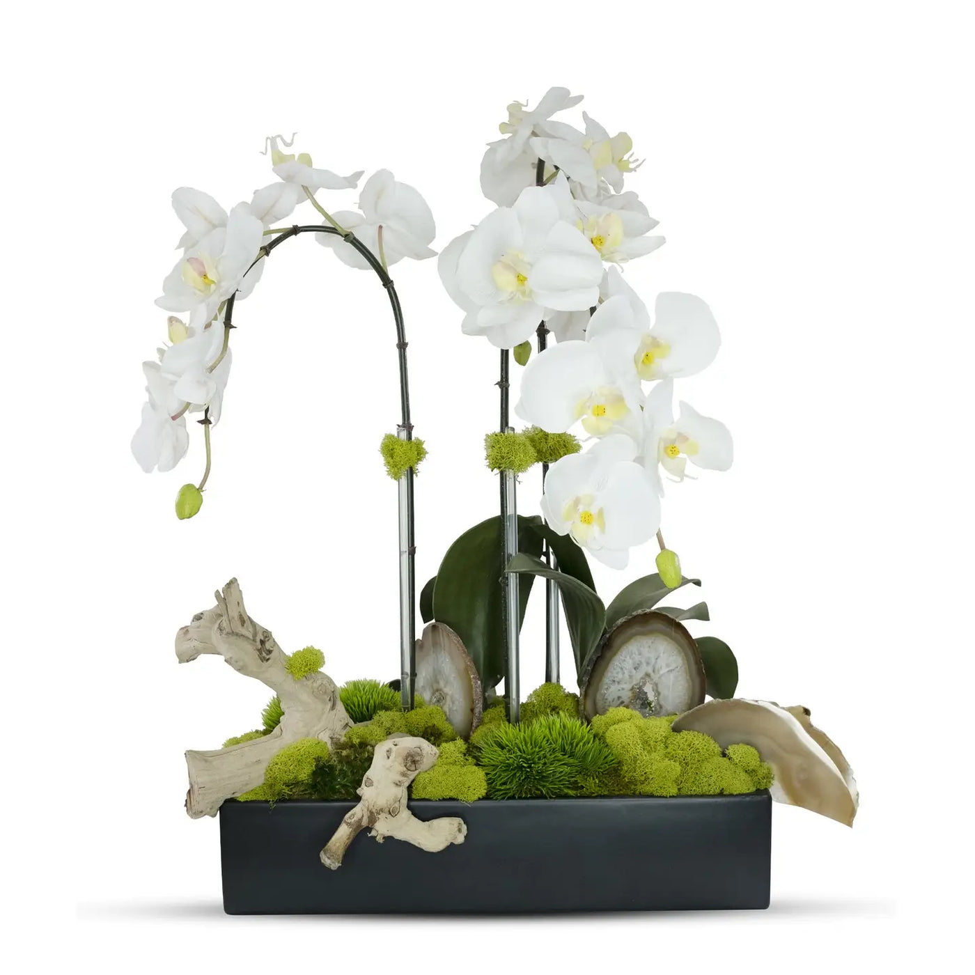 Orchids with Agate Slabs