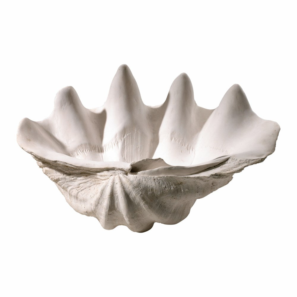 Oversized Clam Shell