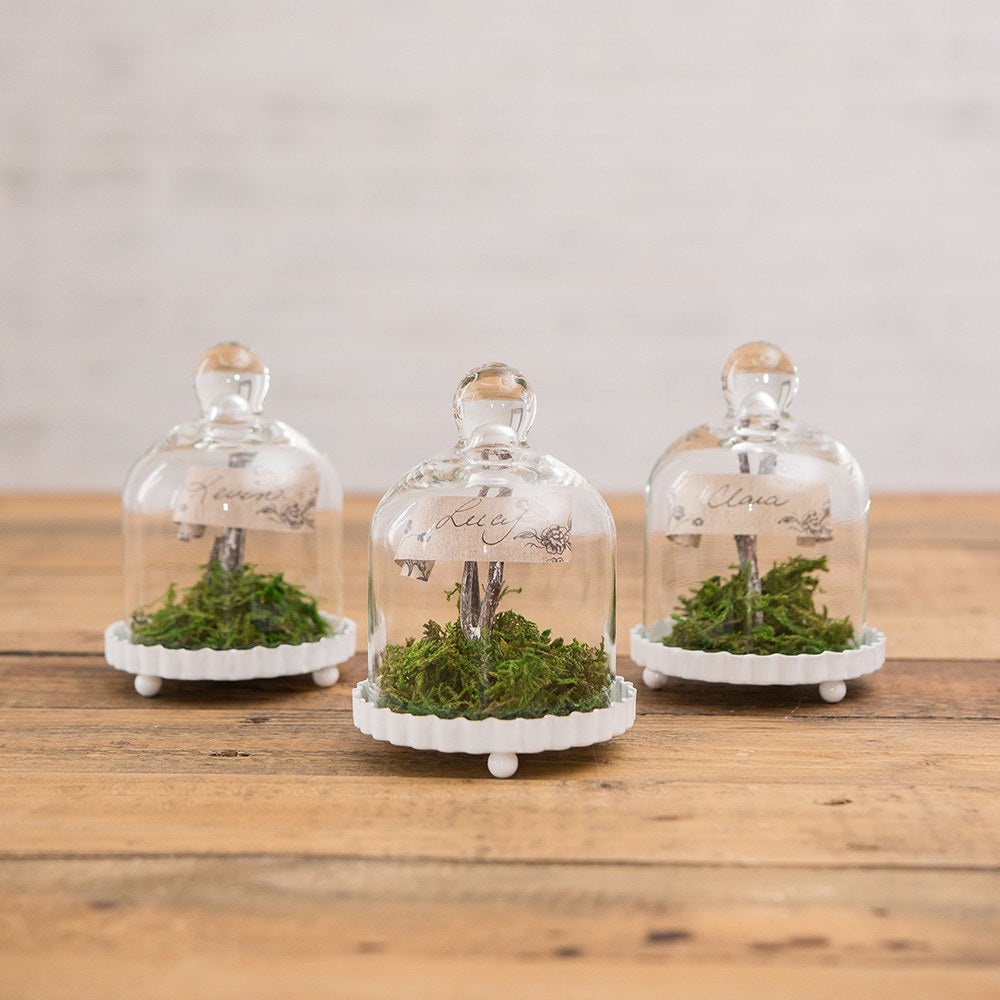 Glass Bell Jar with White Base - Guest Favor (4)