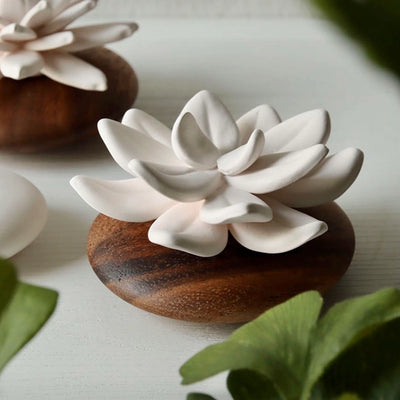 Porcelain Flower Diffuser