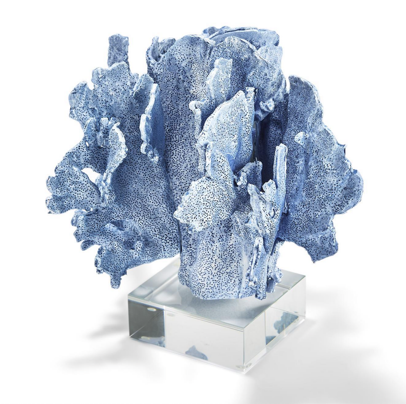 Blue Coral on Glass Base