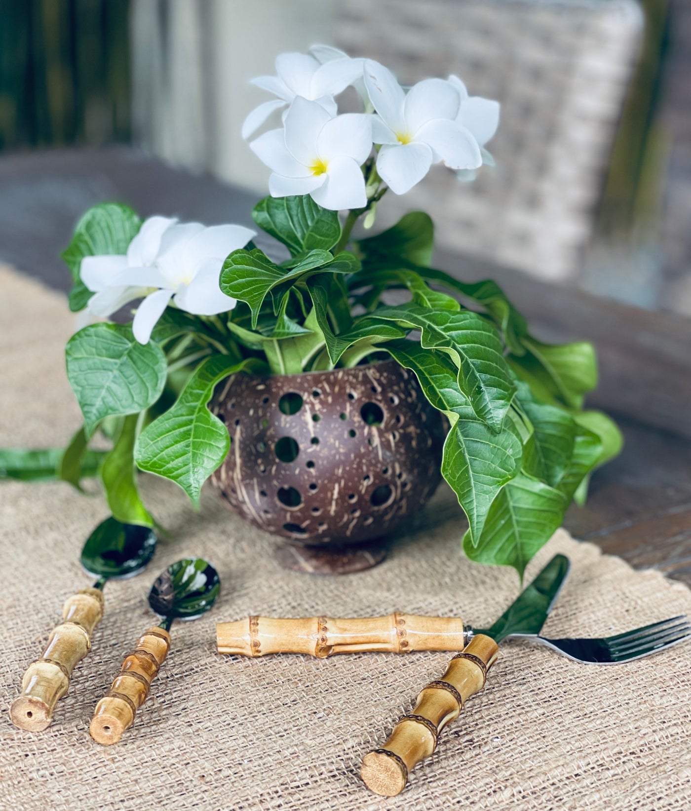 Coconut Candle Holder