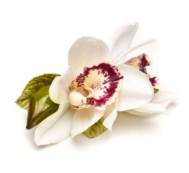 Maui Orchid Napkin Ring - Set of 4