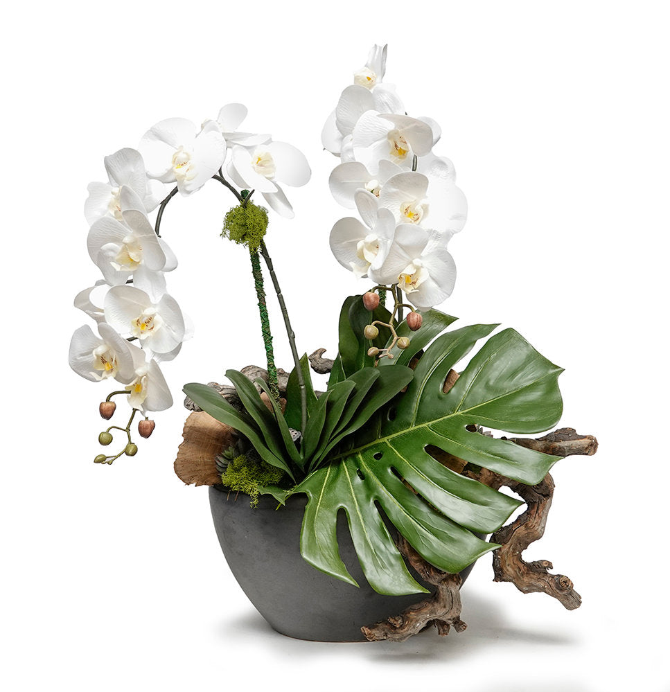 Orchids & Monstera Leaves in Black Oval Pot