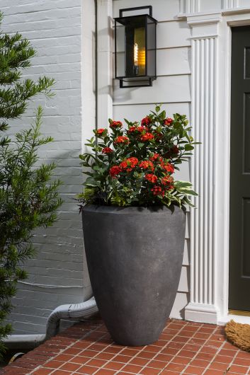 Emperor Planter