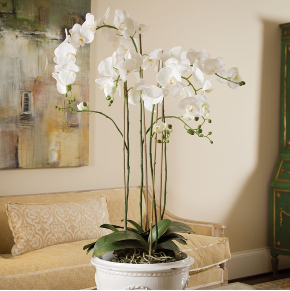 Phalaenopsis Orchid Drop-In 44"