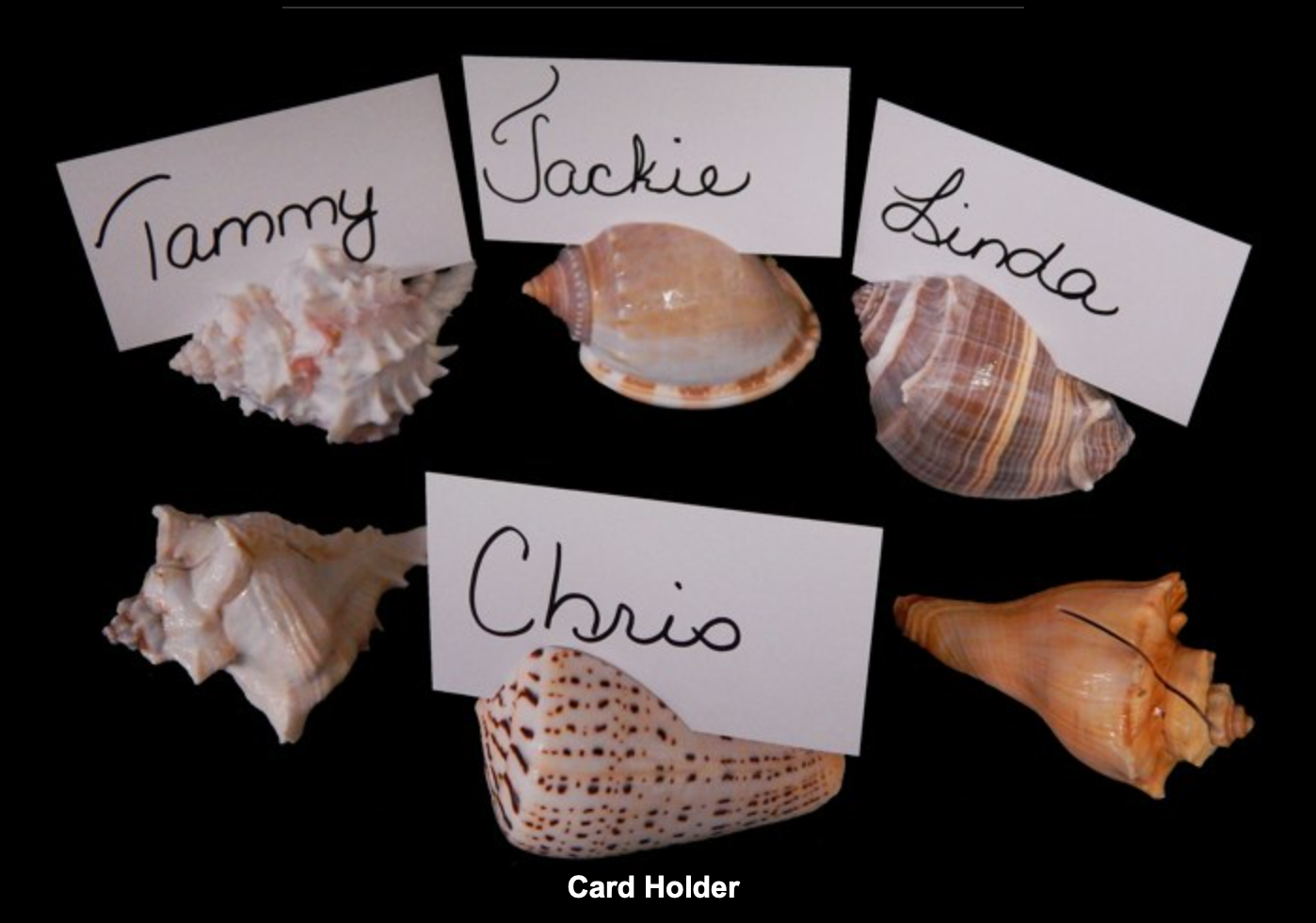 Coastal Shell Card Holders - Set of 6