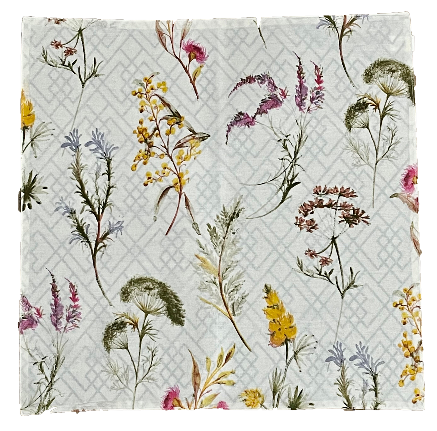 Botanical Reversible Napkin - Set of 6