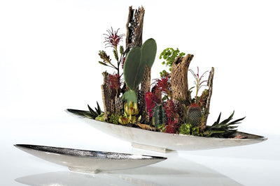 Tuscan Boat