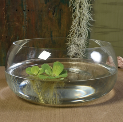 Grand Sphere Glass Pond Bowl