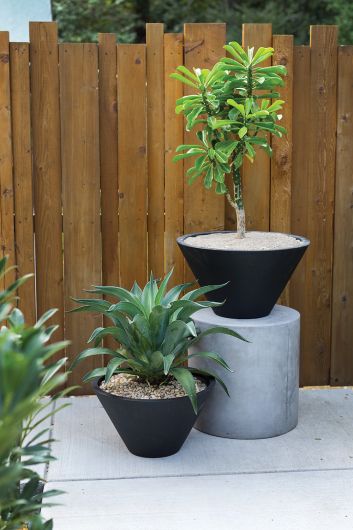 Ezra Planters