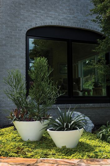 Ezra Planters